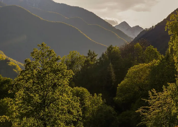 Wild Valley Palm Garden In Valle Onsernone