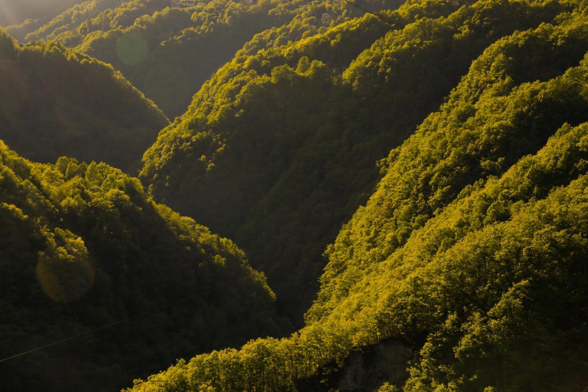 Apartment Wild Valley Palm Garden In Valle Onsernone