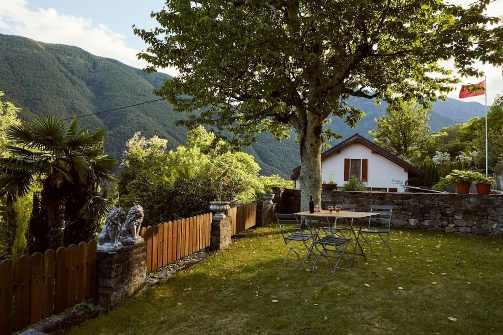 Wild Valley Palm Garden In Valle Onsernone