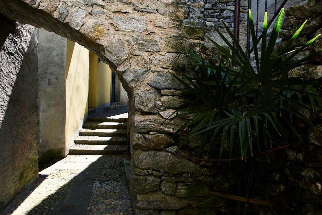 Apartment Wild Valley Palm Garden In Valle Onsernone *