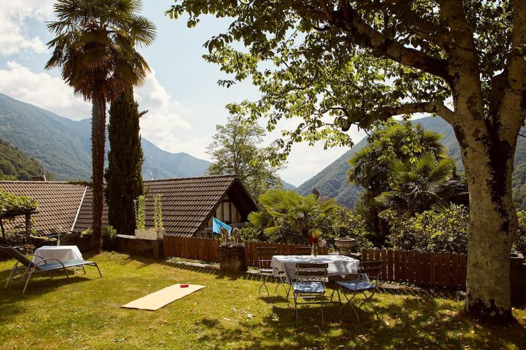 Wild Valley Palm Garden In Valle Onsernone *